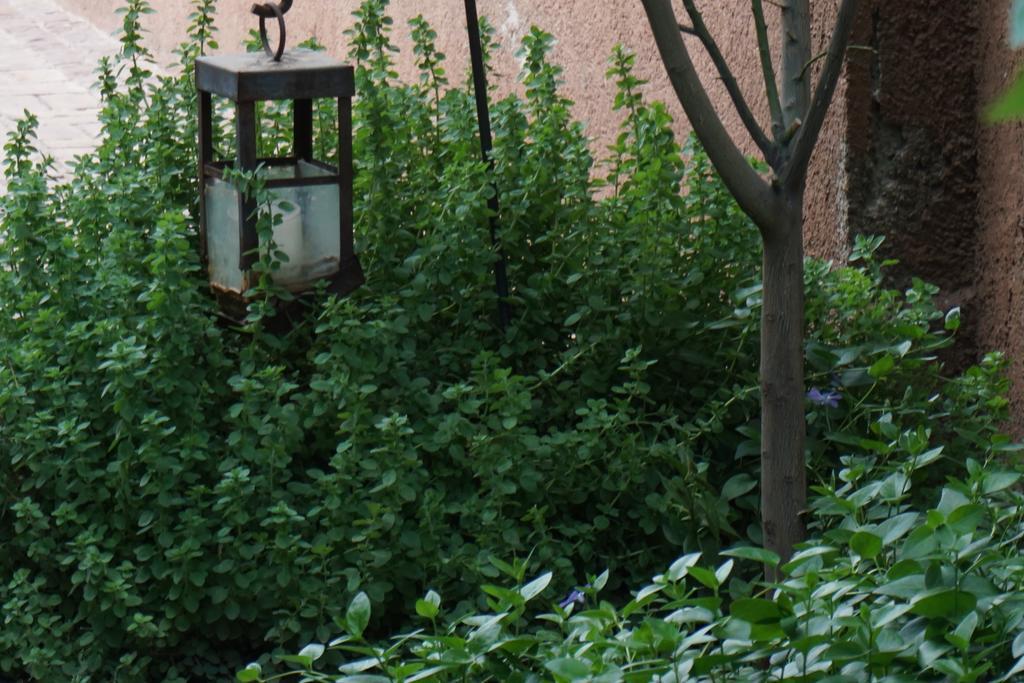 Casa Lila Bed and Breakfast Μεντόζα Εξωτερικό φωτογραφία